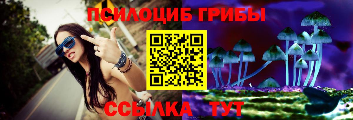 Псилоцибиновые грибы мухоморы Рязань